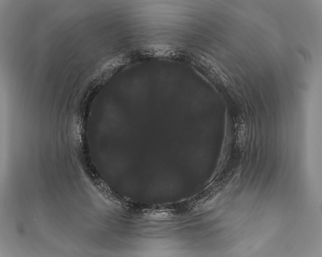 X0000111460643200907271252