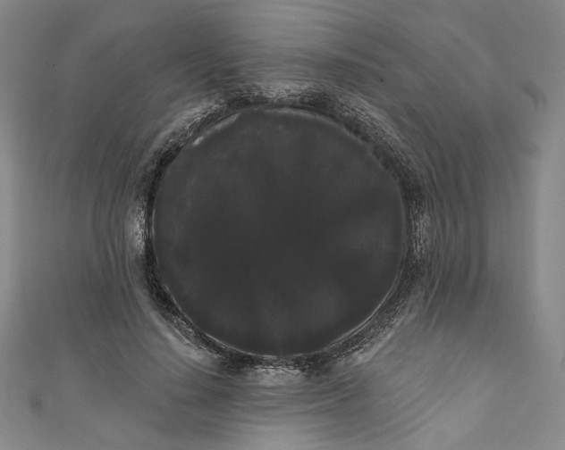 X0000111460644200907271252