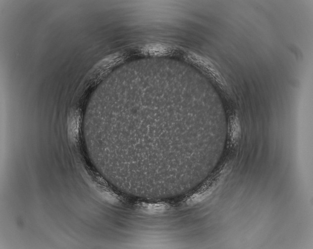 X0000111460645200907271252