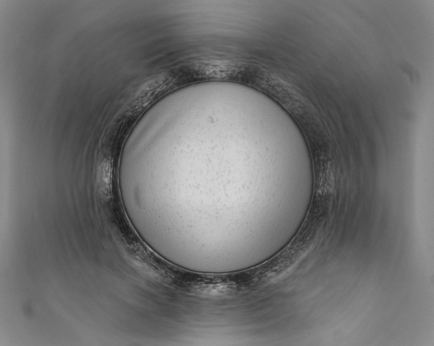 X0000111460646200907271252