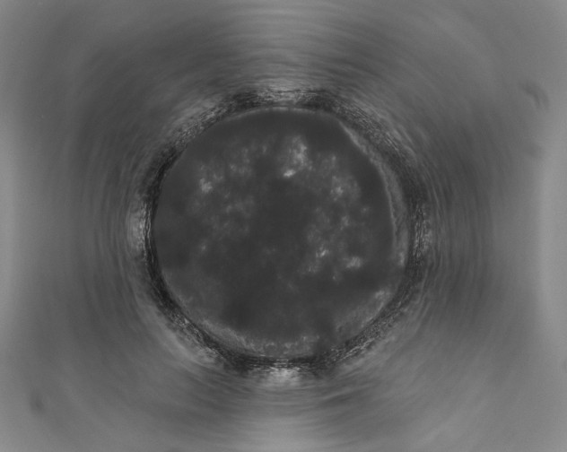 X0000111460647200907271252