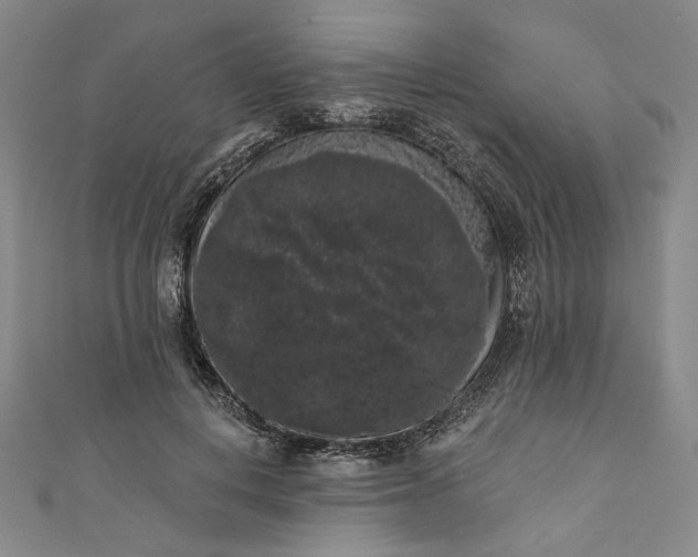 X0000111460648200907271252