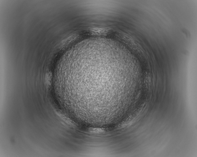 X0000111460649200907271252