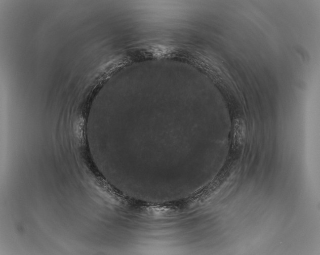 X0000111460650200907271252