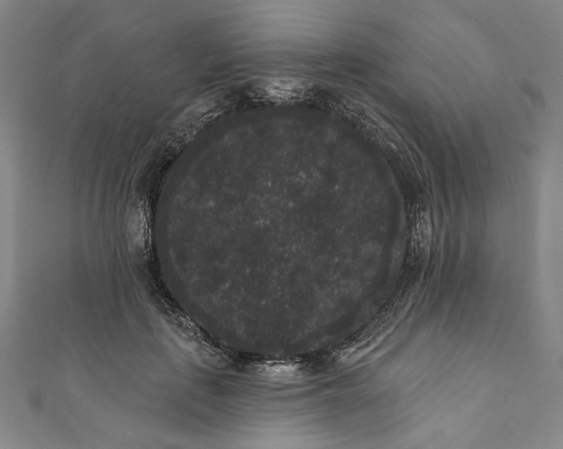 X0000111460651200907271252