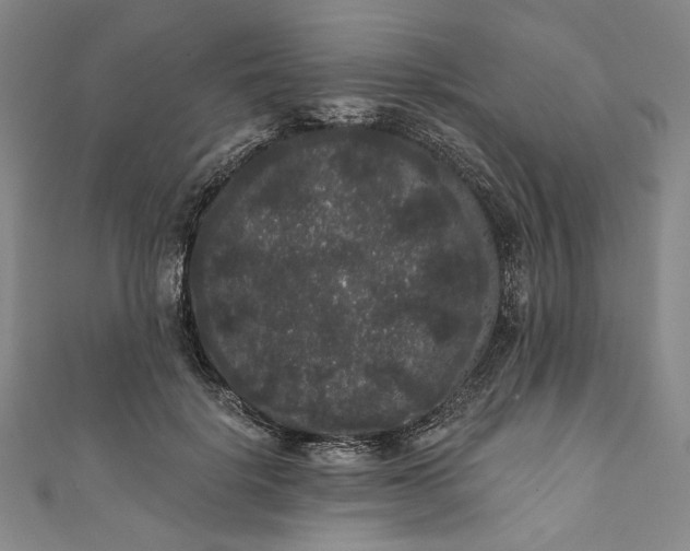 X0000111460652200907271252