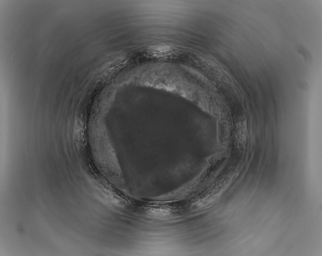 X0000111460653200907271252