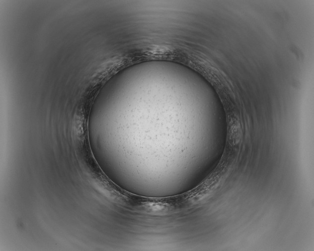 X0000111460654200907271252