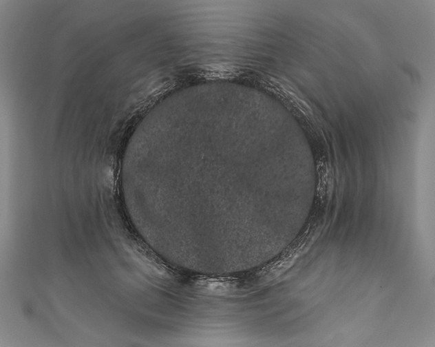 X0000111460655200907271252