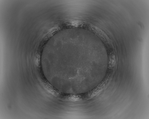 X0000111460656200907271252