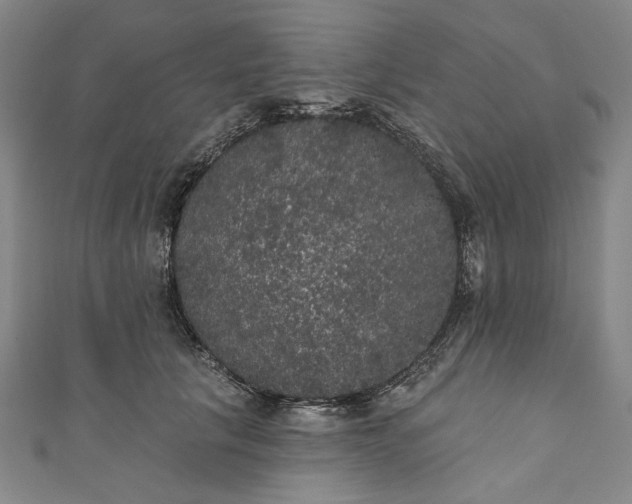 X0000111460657200907271252