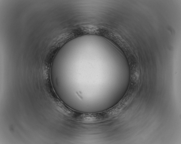 X0000111460658200907271252