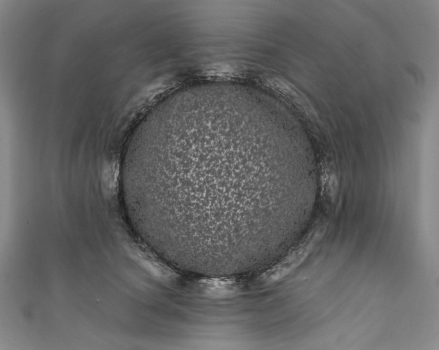 X0000111460660200907271252