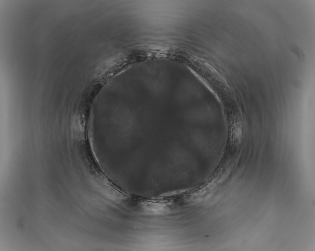 X0000111460661200907271252