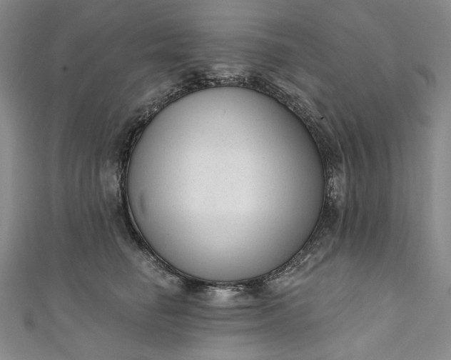 X0000111460662200907271252