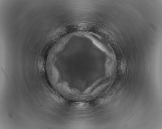 X0000111460663200907271252