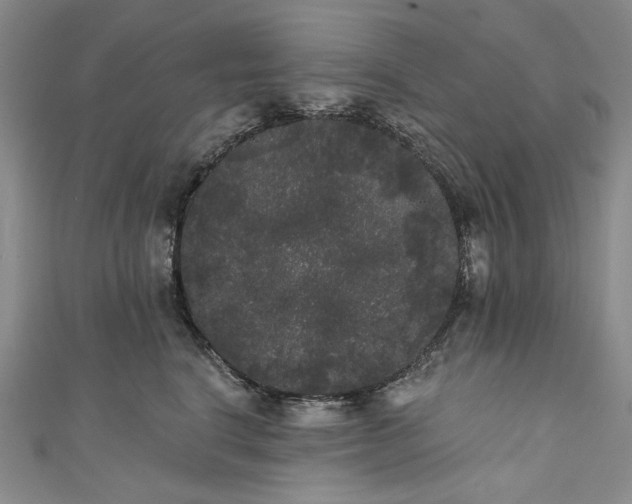 X0000111460664200907271252