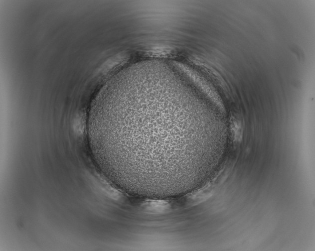 X0000111460665200907271252