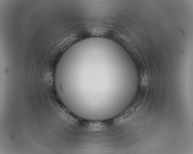 X0000111460666200907271252