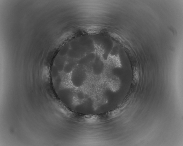 X0000111460667200907271252