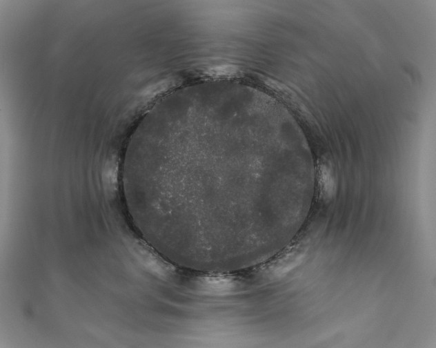 X0000111460668200907271252