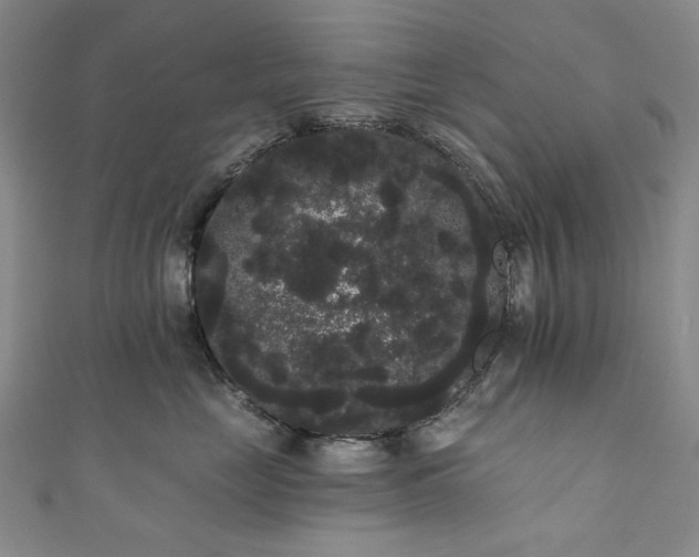 X0000111460669200907271252