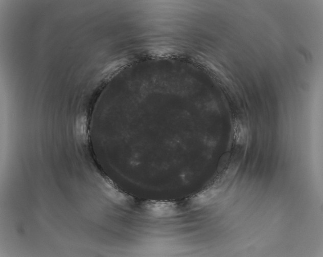 X0000111460670200907271252