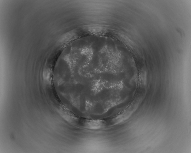 X0000111460671200907271252