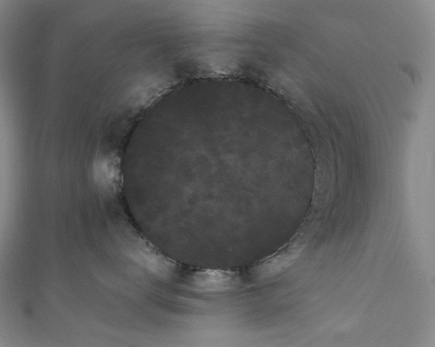 X0000111460672200907271252