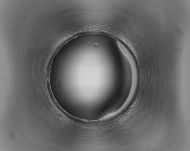 X0000111460673200907271252