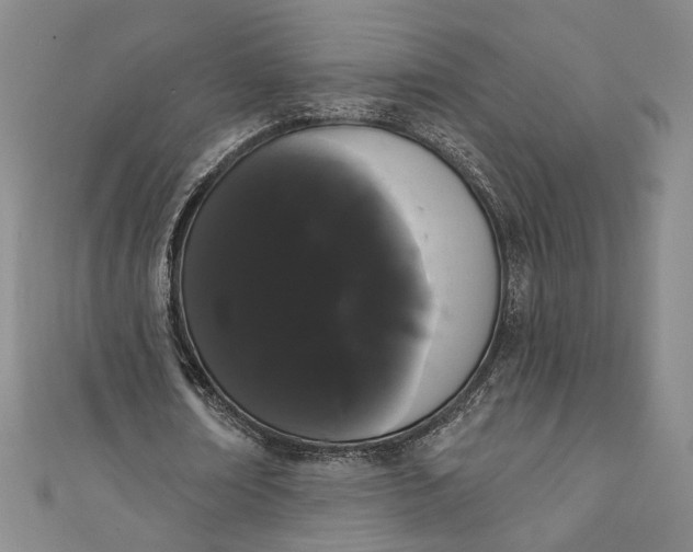 X0000111460674200907271252