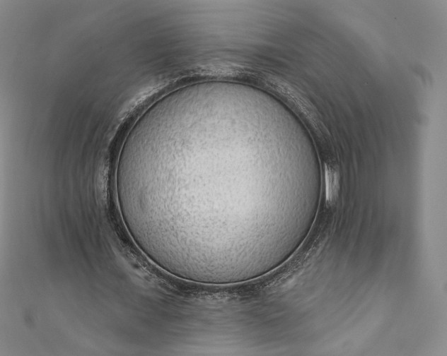 X0000111460675200907271252