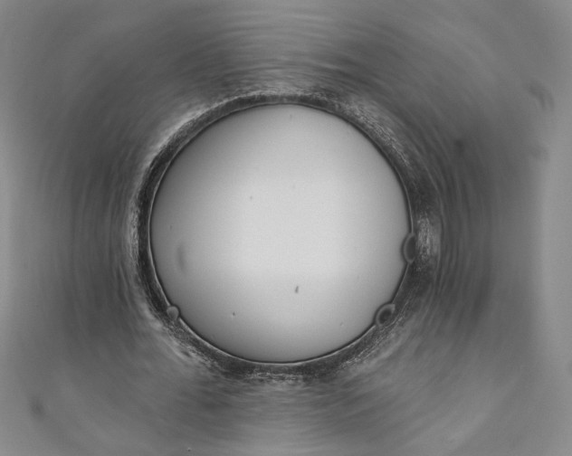 X0000111460676200907271252