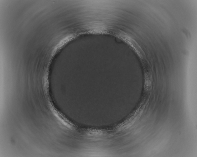 X0000111460677200907271252