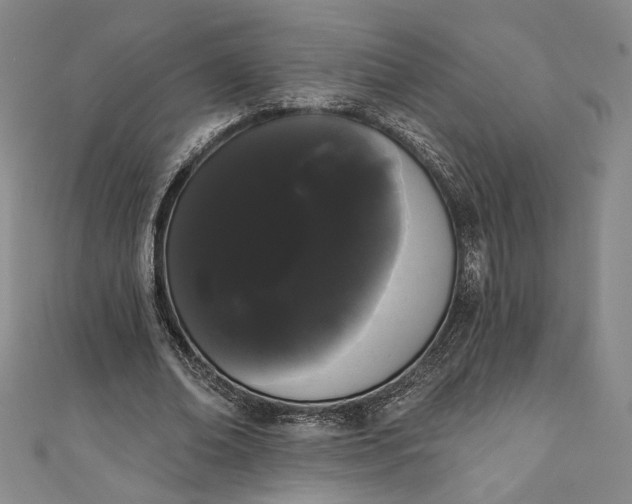 X0000111460678200907271252