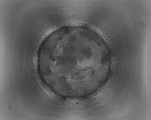 X0000111460679200907271252