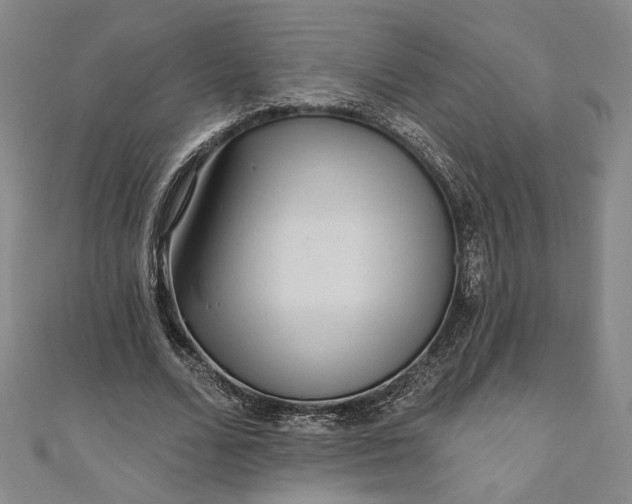 X0000111460680200907271252