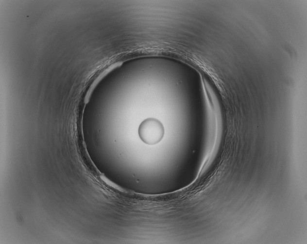 X0000111460681200907271252