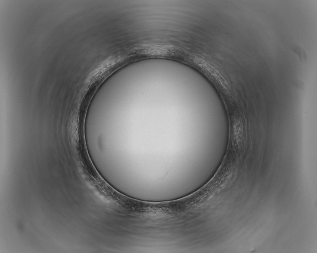 X0000111460682200907271252