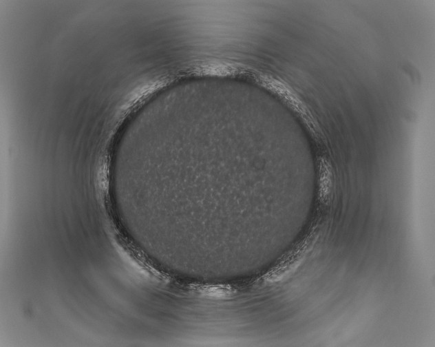 X0000111460683200907271252