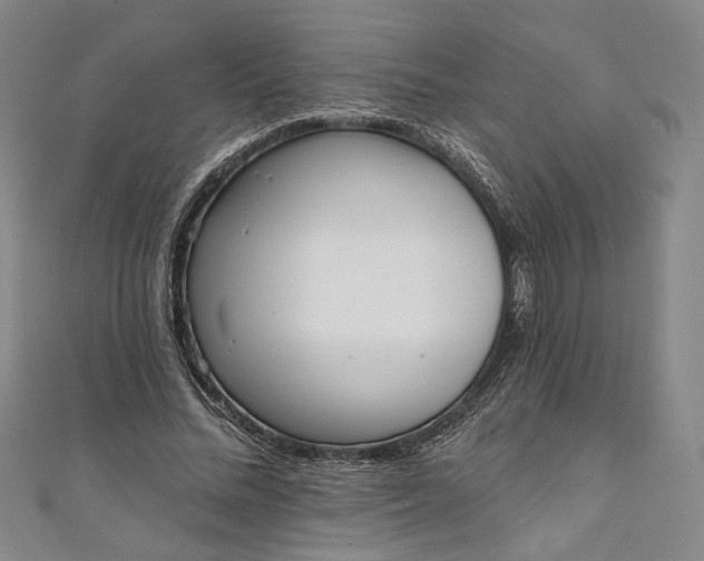 X0000111460684200907271252