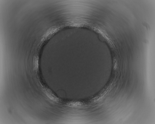 X0000111460685200907271252