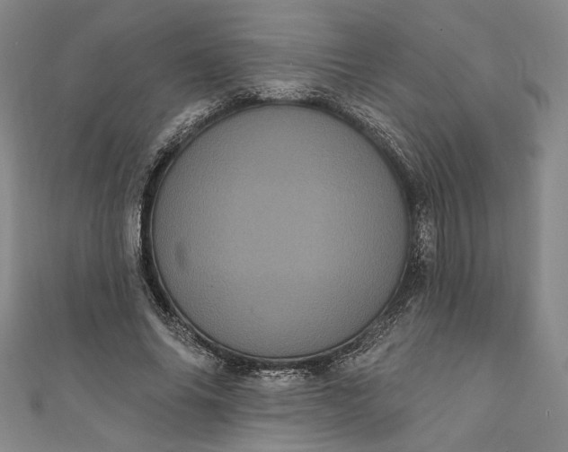 X0000111460686200907271252