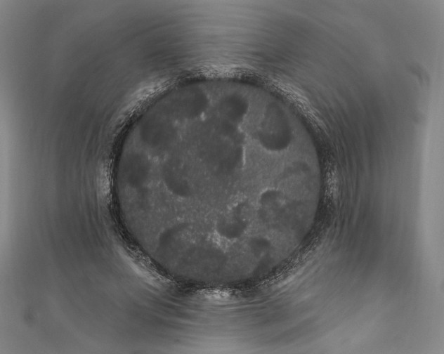 X0000111460687200907271252