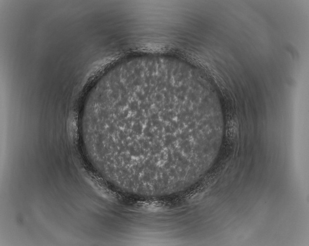 X0000111460688200907271252