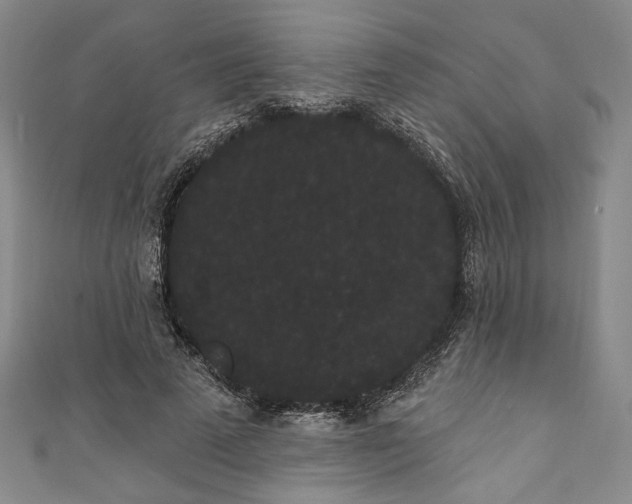 X0000111460689200907271252