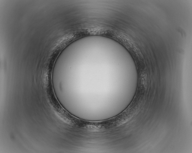 X0000111460690200907271252