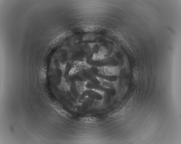 X0000111460691200907271252