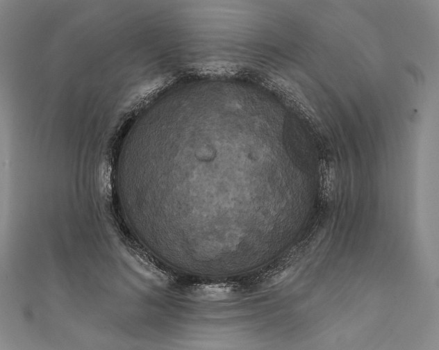 X0000111460692200907271252