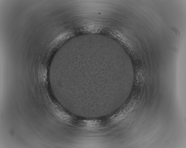 X0000111460693200907271252